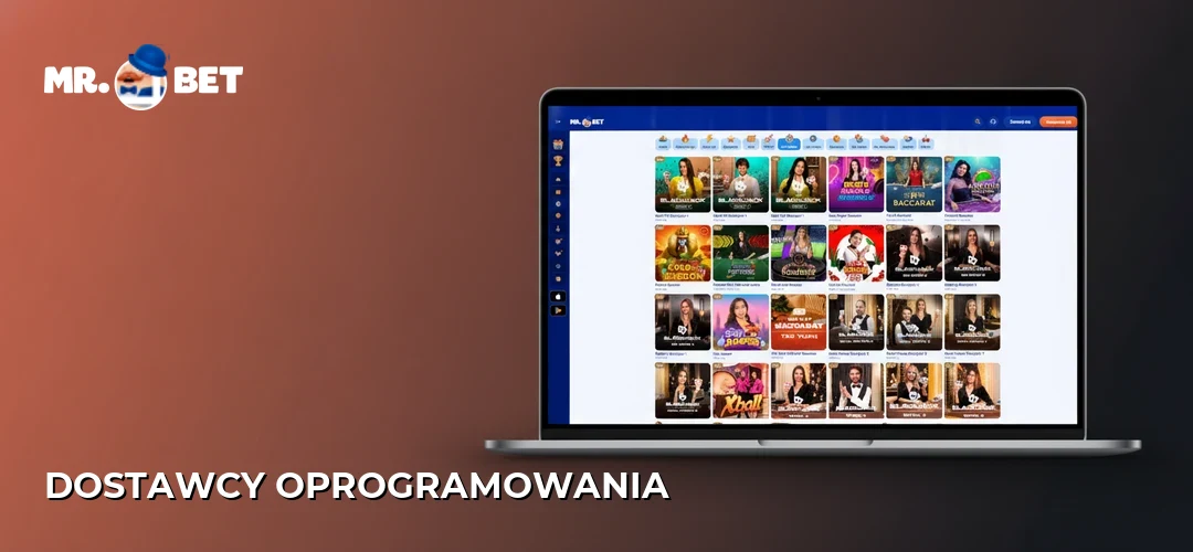 Dostawcy oprogramowania